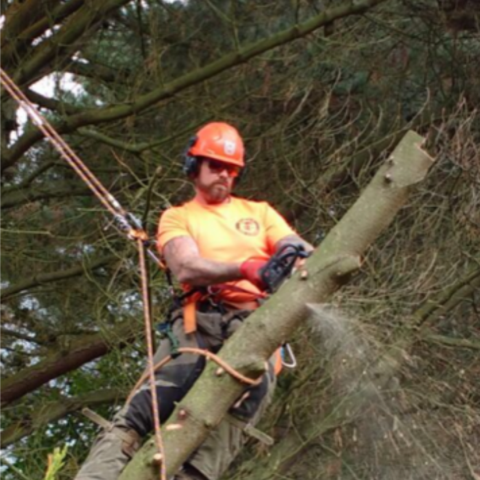 All of the staff are trained arborists who know how to use professional equipment.